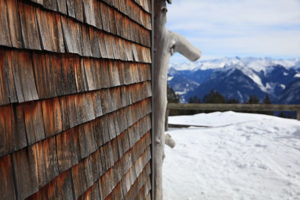 Cost of Cedar Siding Repair in Columbus