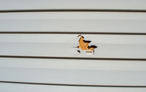 Cost of Siding Hole Patching in Columbus