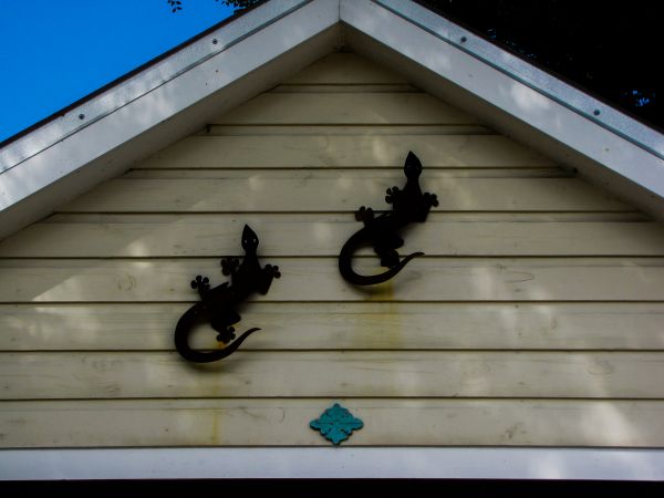 Cost of Shiplap Siding Installation in Columbus